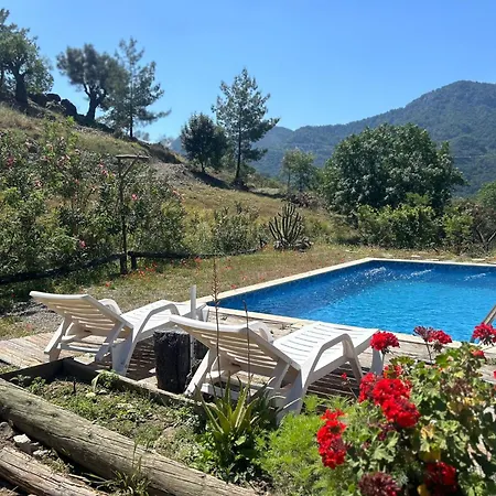Togo Iztuzu Stonehouse-1 *
